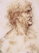 LEONARDO da Vinci, Profile one with book leaves gekroten of old man